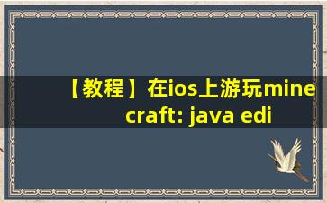 【教程】在ios上游玩minecraft: java edition!